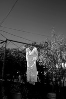 FIL_4178